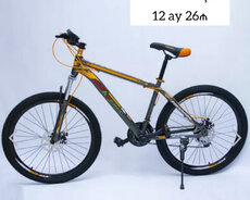 Aster velosiped 26