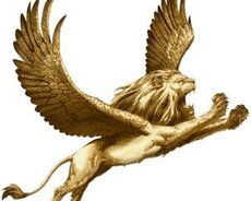 Shirketde reklam ishi