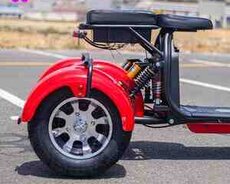 Elektron Bike, 2020 il