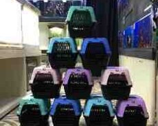 Pişik daşıma konteyneri