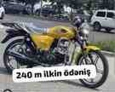 Nama-Papik 49, 2023 il