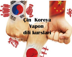 Koreya, Çin, Yapon dili kursları