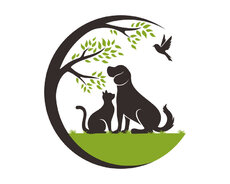 Baytar Həkim Xidməti