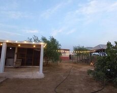 Tendirci axtarilir Kurdexanida yeni acilmis obyekte