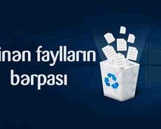 Silinən faylların bərpası