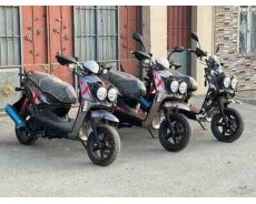 Turbomoto tiger, 2022 il