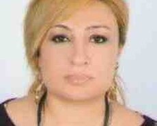 Mühasibat xidmətləri