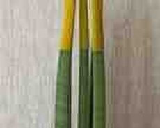 Sanseveria
