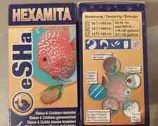 Esha Hexamita Discus Disease Treatment
