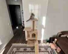 Dırnaq itiləyən oyuncaqlar