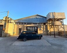 Bineqedi Gülüstan