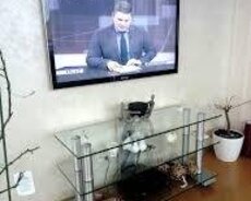 Televizor Zala qurawdirma
