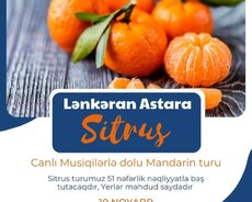 Lənkəran Xanbulan, Astara Sitrus turu