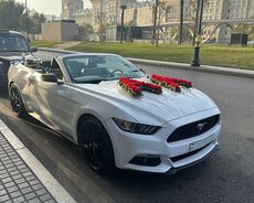 Cabrio Mustang icarəsi