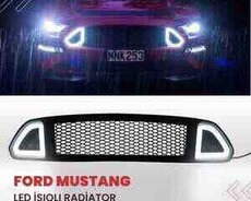 Ford Mustang LED barmaqlığı