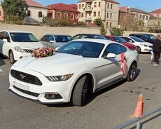 Mustang cupe toy maşıni