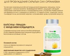 Kordiseps təbii antibiotik