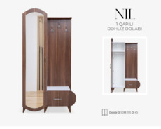 Nil bir qapı dolab yeni dolab dəhliz prixoji