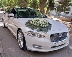 Jaguar Xj аренда свадебного автомобиля