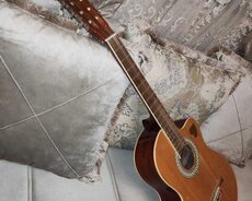 Musiqi alətləri gitara