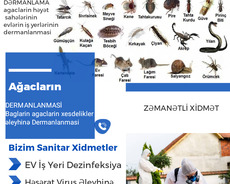 Dezinfeksiya xidməti