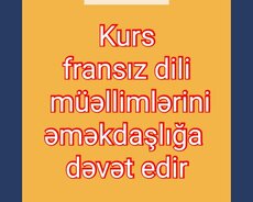 Fransız dili müəllimi