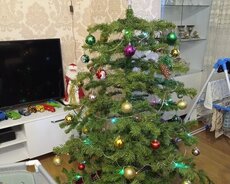 Рождественская елка, зеленая елка