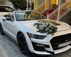 Gelin maşıni mustang kirayəsi