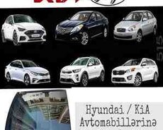 Kia, Hyundai lyuk şüşələri