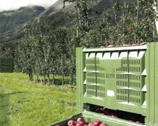 Антиградовая сетка для яблок, винограда и других культур