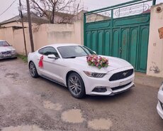 Ford Mustang Cupe