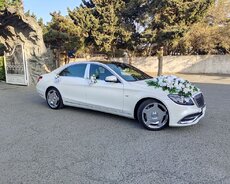 Maybach bey gelin maşın kirayəsi