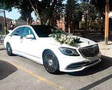 Maybach bey gelin maşın kirayəsi