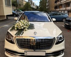 Mercedes Maybach toy maşıni sifarişi