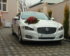 Jaguar Xj прокат свадебного автомобиля
