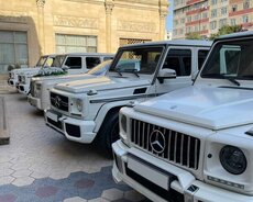 Qalik Toy Korteclerinin Teskili