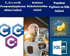 C, C++ и C#, Arduino Robotics, Python и Sql