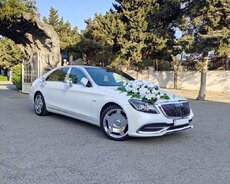 Автомобиль Bey Bride Maybach класса