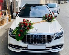 Bey gelin maşıni Maybach sclass