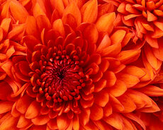 "bakı-Əyrici-Toxucu" Asc-nə Fəhlə tələb olunur