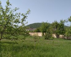 Quba Amsar kəndi