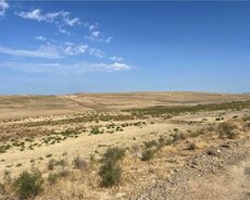 3 Hektar Torpaq Sahesi