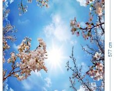 3D dartma tavan 5d dartma tavan 7d dartma tavanlar 5d aboyla