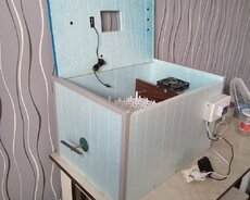 İnkubator tam işlək cücə, hinduşka, ördək qaz yumurtasi çixari