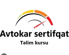 Avtokar təlimi