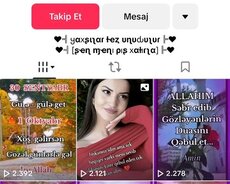 Tiktok Sehifesi