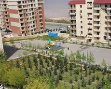 Masazır Abşeron City 3 otağa peredelka Kupçalı