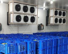 Холодное хранение и сухое хранение