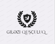 Briqadir tələb olunur