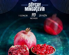 Göyçay Mingəçevir Turu